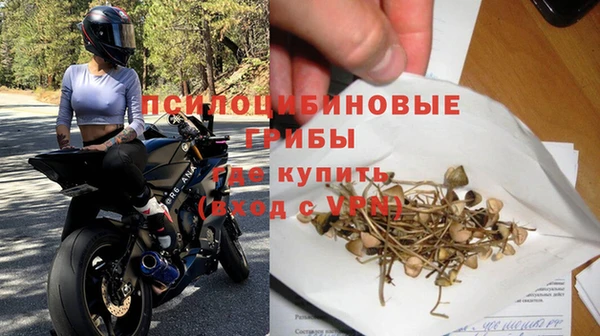сатива Богданович