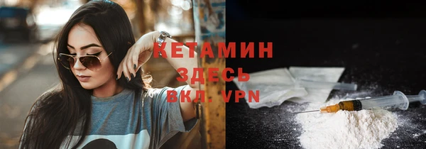 прущие грибы Богородицк