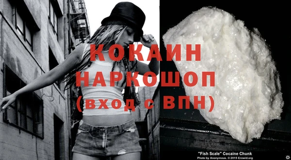 прущие грибы Богородицк