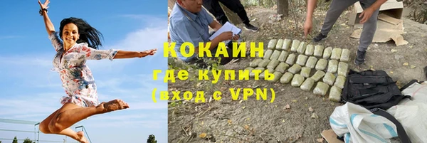 сатива Богданович