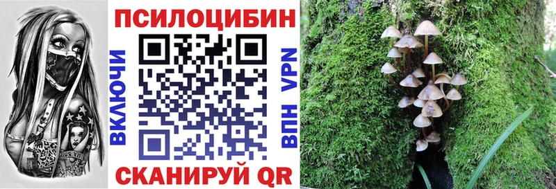 blacksprut рабочий сайт  Сретенск  Псилоцибиновые грибы мицелий 